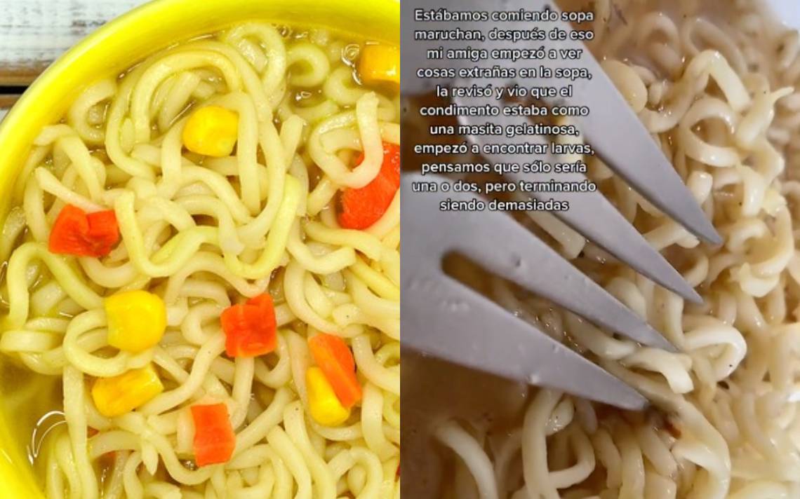 Larvas en sopas Maruchan, video se hace viral en TikTok - El Heraldo de  Tabasco | Noticias Locales, Policiacas, sobre México, Tabasco y el Mundo