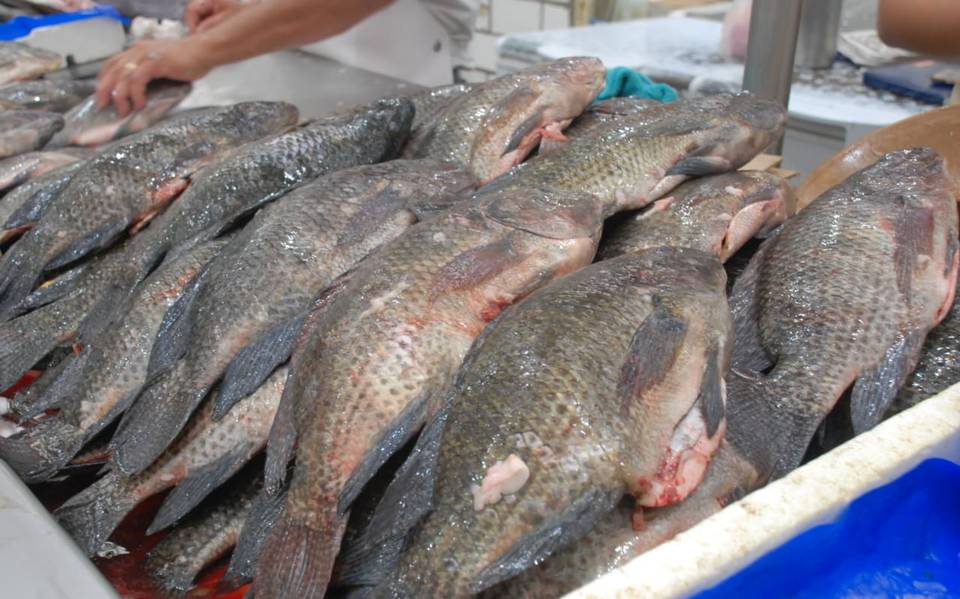 Previo a la Cuaresma aumenta el precio de pescados y mariscos en Tabasco -  El Heraldo de Tabasco | Noticias Locales, Policiacas, sobre México, Tabasco  y el Mundo