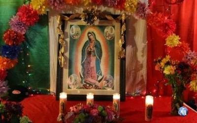 Ideas de altares para la virgen de Guadalupe - El Heraldo de Tabasco |  Noticias Locales, Policiacas, sobre México, Tabasco y el Mundo