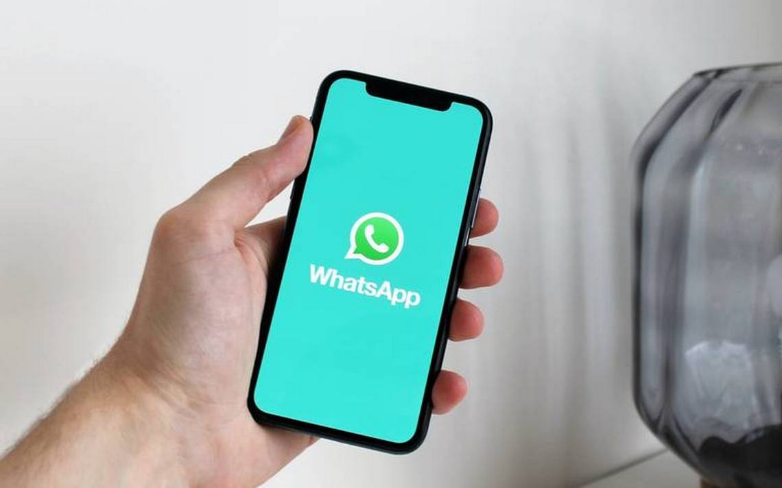 ¿cómo Evitar Que La Copia De Seguridad De Whatsapp Llene La Memoria De Tu Celular El Heraldoemk 0363