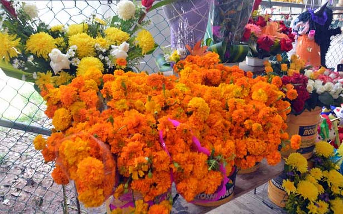 Analizan alza en el precio de las flores para el 2 de noviembre - El  Heraldo de Tabasco | Noticias Locales, Policiacas, sobre México, Tabasco y  el Mundo