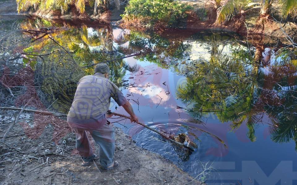 playas paraiso tabasco derrame combustible pemex turismo cultivos  afectaciones ecologia medio ambiente - El Sol de México | Noticias,  Deportes, Gossip, Columnas