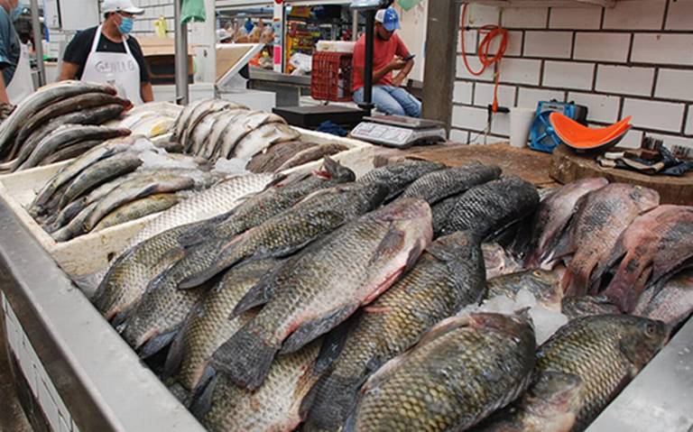 Previo a la Cuaresma incrementa venta de pescados y mariscos en el Pino  Suárez - El Heraldo de Tabasco | Noticias Locales, Policiacas, sobre  México, Tabasco y el Mundo