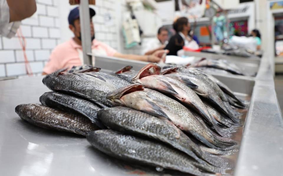 Aumento de precios de pescados y mariscos es por los proveedores: locatario  - El Heraldo de Tabasco | Noticias Locales, Policiacas, sobre México,  Tabasco y el Mundo